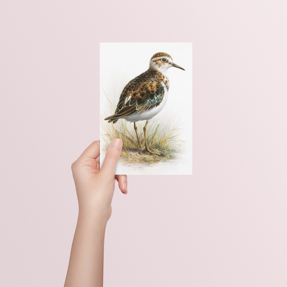 Watercolor Sandpiper Bird Portrait Wall Art Print, Unframed - Coastal Serenity - Picture 5 of 7